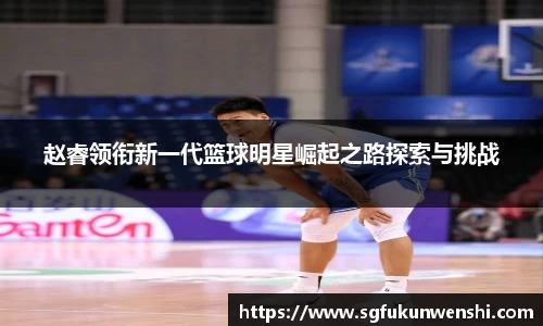 赵睿领衔新一代篮球明星崛起之路探索与挑战